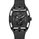 GW0500G2