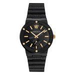 VEVI00620